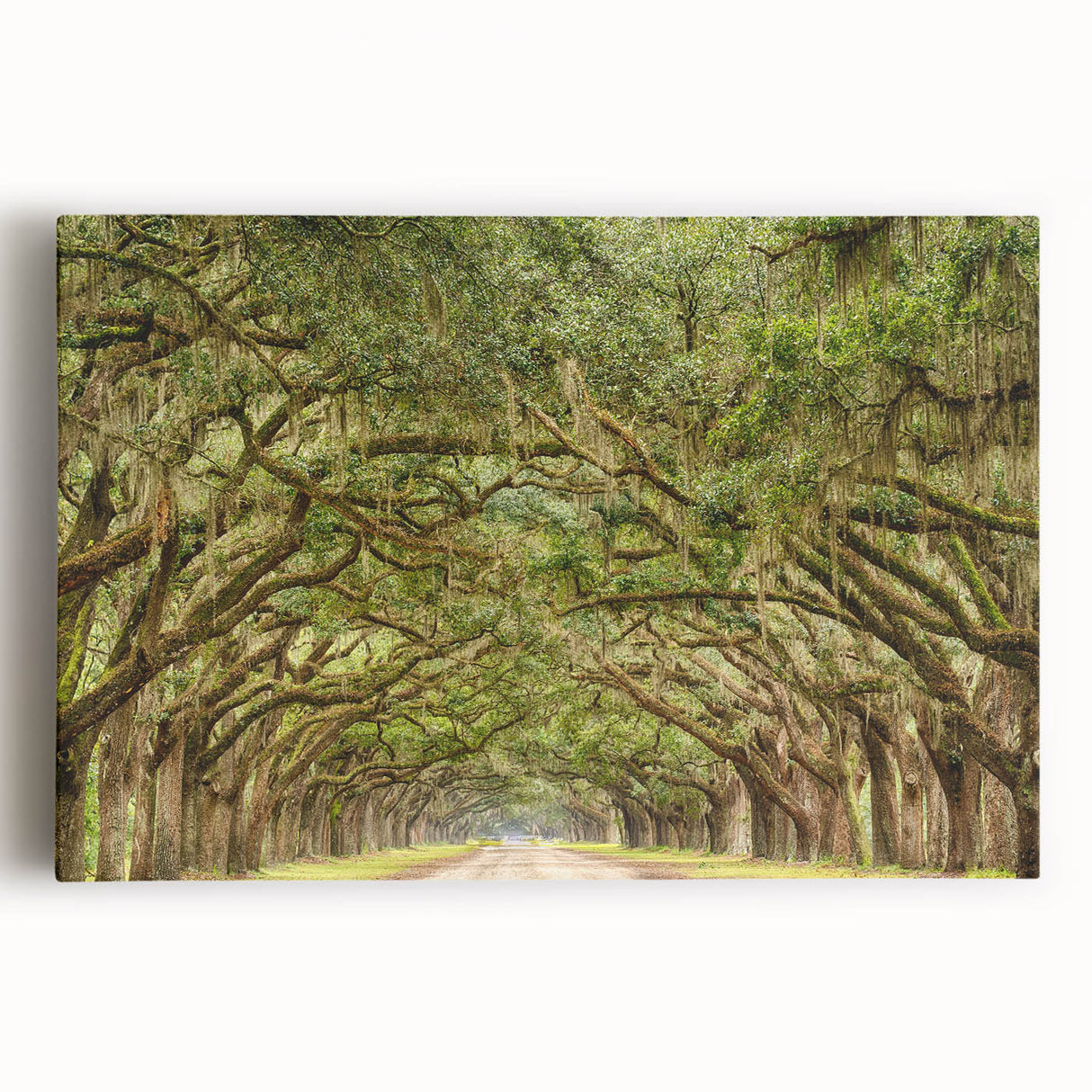 Black and white photo of Savannah, Georgia on stretched canvas, ideal for kitchen wall art.