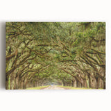 Black and white photo of Savannah, Georgia on stretched canvas, ideal for kitchen wall art.