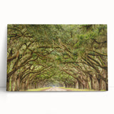 Black and white stretched canvas of Savannah scenery, ideal for kitchen wall art or bedroom ambiance.