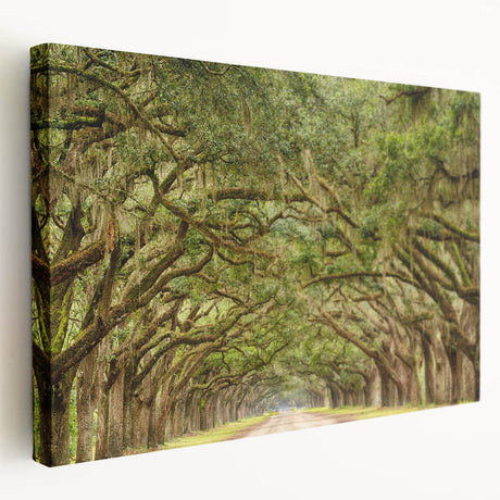 Savannah, Georgia cityscape on large stretched canvas with muted earth tones, ideal for kitchen wall art.