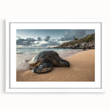 Abstract art print of a Maui landscape in muted green and blue tones on a white-framed mat.