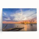 Black and white large art print of Kansas scenery on stretched canvas, ideal for kitchen wall art or bedroom ambiance.