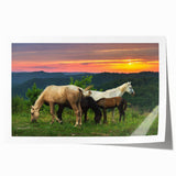 Extra large rolled print featuring a floral Kentucky scenery in soft pastel colors, ideal for art wall dining room.