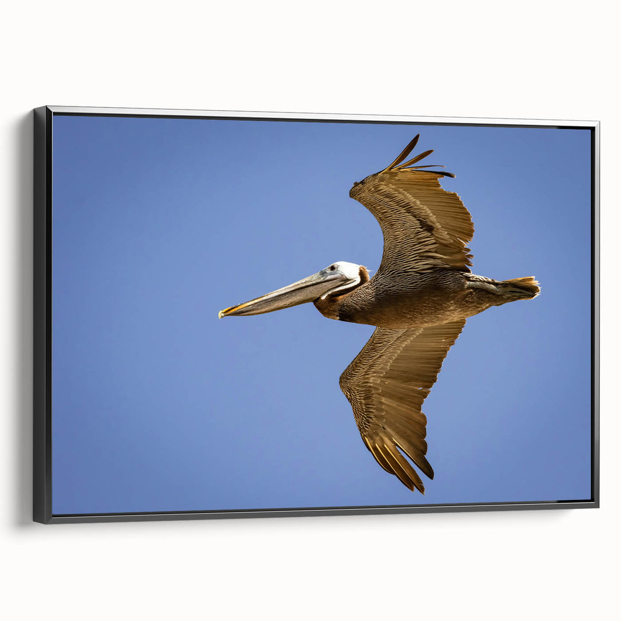 Black and white framed canvas of a Louisiana landscape, ideal for bedroom wall art.