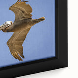 Extra large framed canvas featuring a textured Louisiana landscape in black with colorful accents.