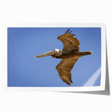 Extra large rolled print of Louisiana scenery with vibrant green and floral motifs.