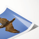 Extra large wall art featuring line art flowers in monochrome, printed on a rolled canvas.