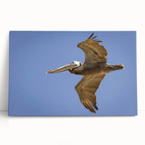 Black and white photo of Louisiana scenery on a large stretched canvas, ideal for kitchen wall art.