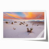Extra large rolled print of New Mexico scenery with vibrant desert flora in muted earth tones.