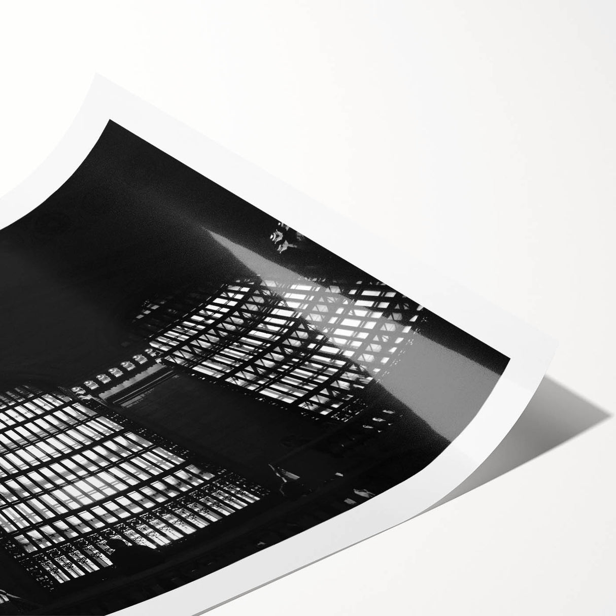 Extra large wall art featuring line art flowers in a monochrome palette on a rolled print.