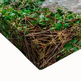 Black and white landscape art painting of Virginia scenery on stretched canvas, suitable for bedroom wall art.