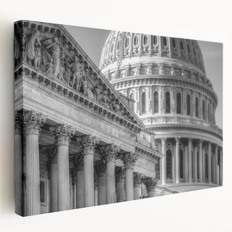 Washington DC Capitol building depicted in muted earth tones on a large stretched canvas, suitable for kitchen wall art.