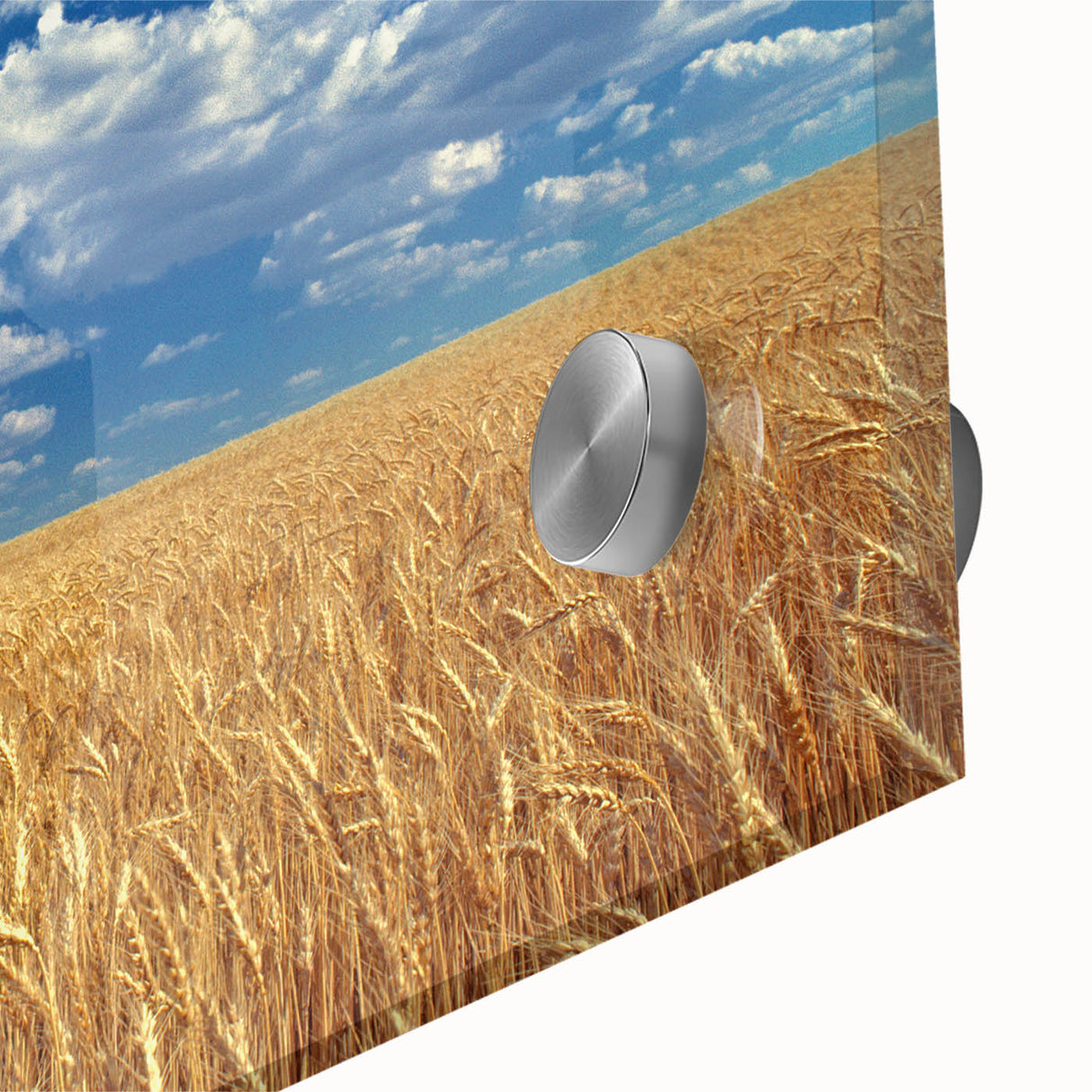 Large abstract wall art of Palouse, Washington in vibrant green tones on acrylic glass, ideal for dining room ambiance.