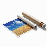 Extra large rolled print of Palouse, Washington scenery with soft green and yellow fields.