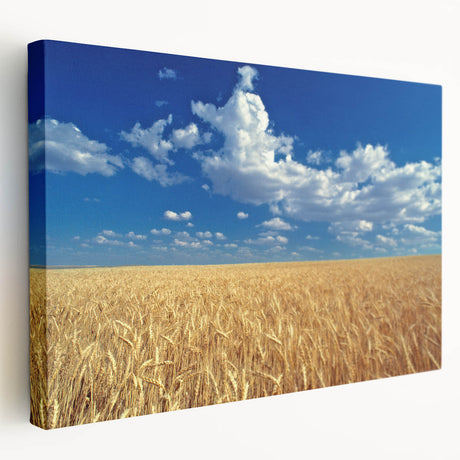 Rolling hills of Palouse, Washington, depicted in soft green and brown tones on a large stretched canvas.