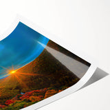 Extra large wall art featuring line art flowers in muted green tones on rolled print.