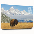 Acrylic print of the Grand Tetons in Wyoming with a side view, featuring earthy tones.