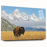Acrylic print of the Grand Tetons in Wyoming with a side view, featuring earthy tones.
