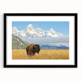 Extra large colorful art of abstract Grand Tetons scenery on textured canvas, framed in black.