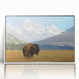 Acrylic print of the Grand Tetons in muted earth tones, framed in white, suitable for modern art wall decor.
