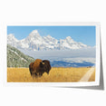 Extra large rolled print featuring the Grand Tetons landscape with muted earth tones, ideal for art wall dining room.