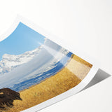 Extra large wall art featuring a line art design of flowers with soft pastel tones on a rolled canvas.