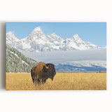 Black and white stretched canvas depicting the Grand Tetons, ideal for kitchen wall art.
