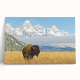 Black and white stretched canvas of Grand Tetons, ideal for kitchen wall art or bedroom ambiance.