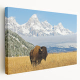 Grand Tetons landscape on large stretched canvas with natural and green tones, suitable for kitchen wall art.