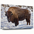 Acrylic print of Yellowstone scenery with vibrant green and blue tones, suitable for dining room decor.