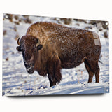 Acrylic print of Yellowstone scenery with vibrant green and blue tones, suitable for dining room decor.