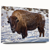 Acrylic print of Yellowstone scenery with vivid green and blue tones, ideal for bedroom or dining room art.