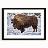 Extra large abstract art print of Yellowstone scenery in colorful textured style, framed with black mat.