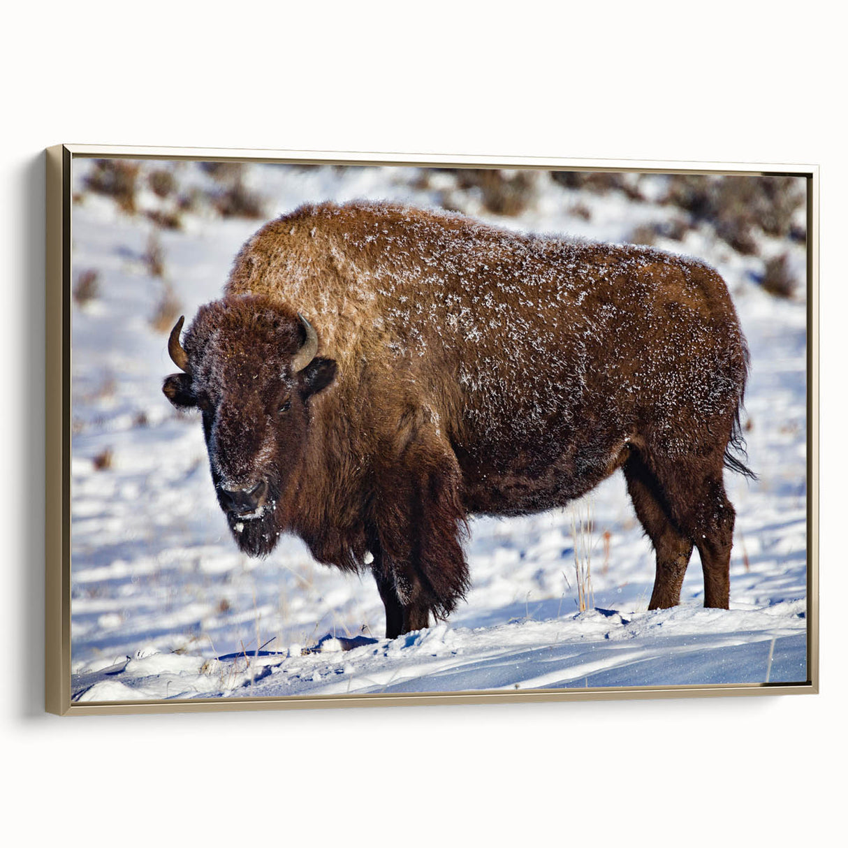 Framed canvas of a Yellowstone landscape in muted gold and black tones, ideal for bedroom wall art.