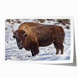 Yellowstone landscape with lush greenery and waterfalls on extra large rolled canvas, suited for dining room wall art.