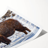 Extra large wall art featuring line art flowers in muted earth tones on a rolled print, ideal for large living room decor.