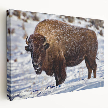 Yellowstone National Park landscape on large stretched canvas, featuring vivid green and blue tones.