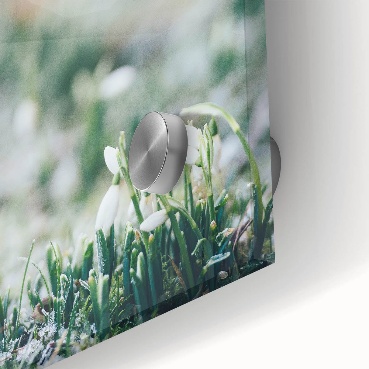 Large abstract wall art depicting spring themes in pastel shades on acrylic glass, ideal for dining room ambiance.