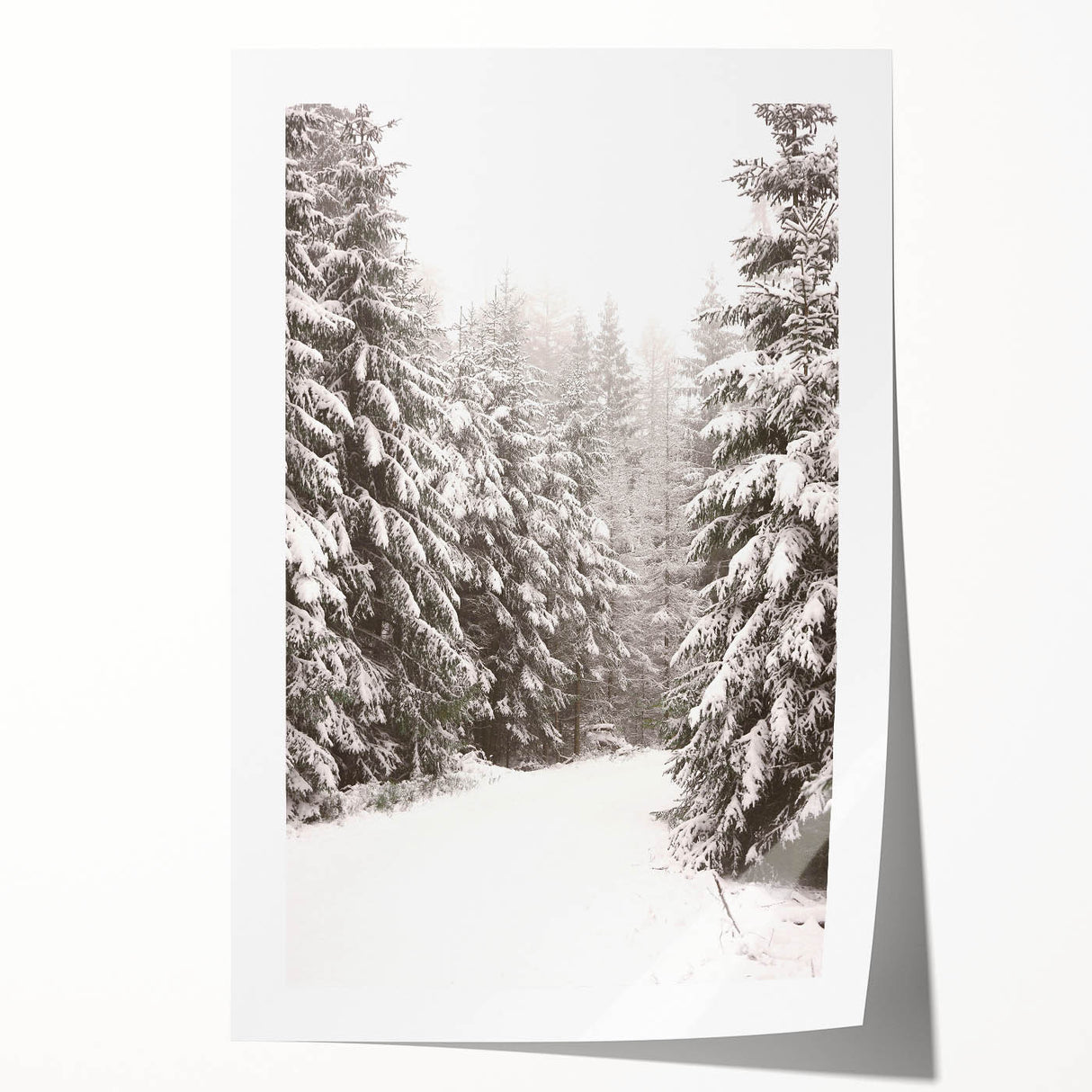 Winter-themed floral art on rolled canvas, using cool blue and white tones, ideal for art wall dining room.