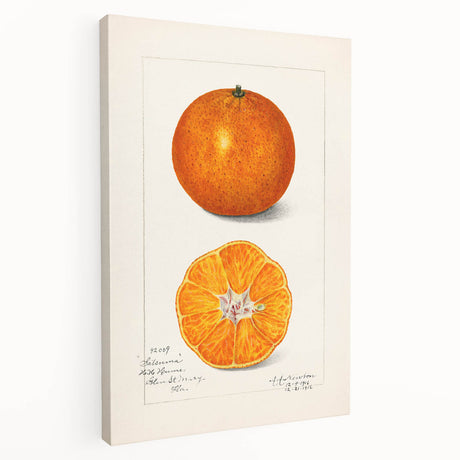 Large canvas print featuring an array of colorful fruits, ideal for kitchen wall art.