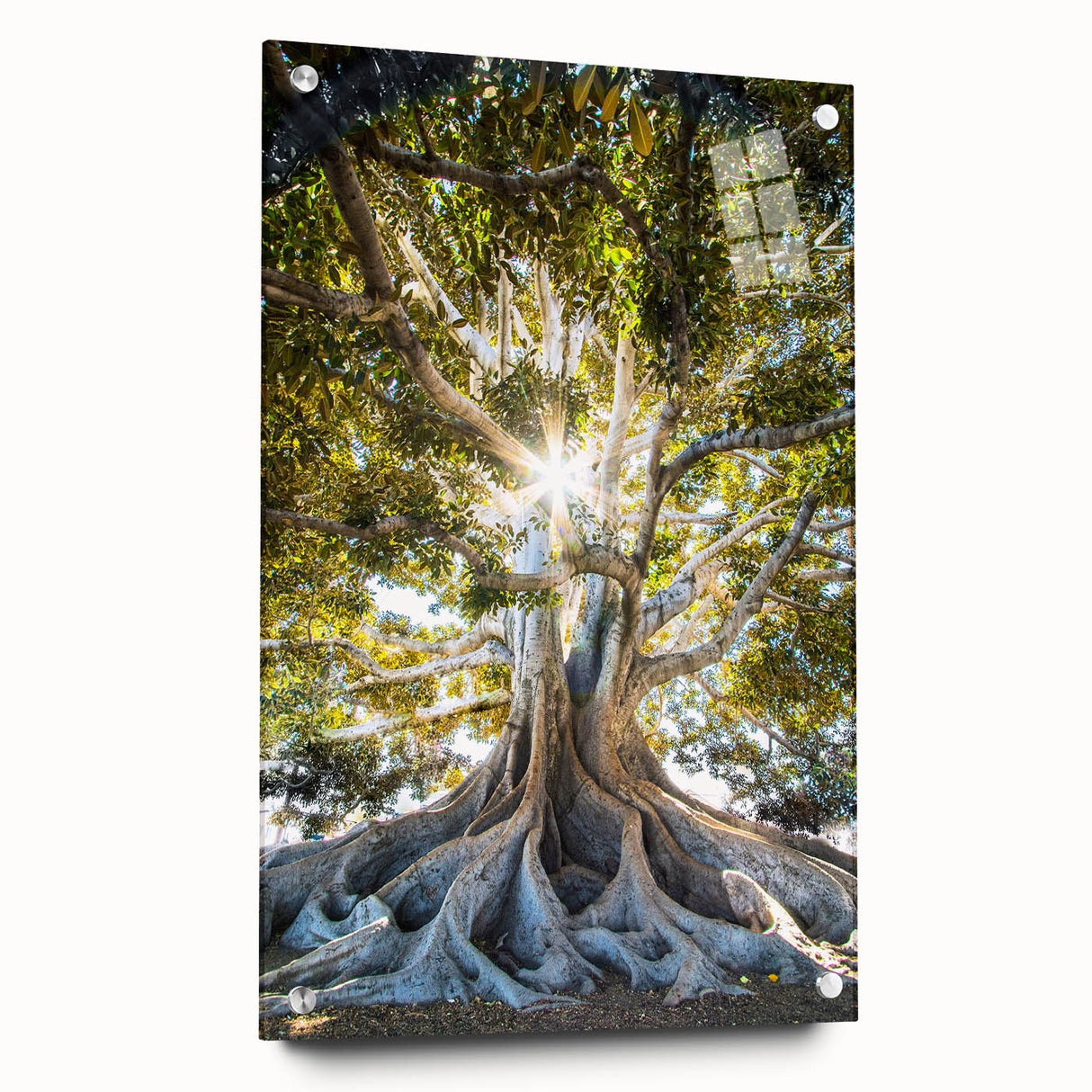 Large abstract wall art on acrylic glass depicting spring season themes in soft green and pink tones.
