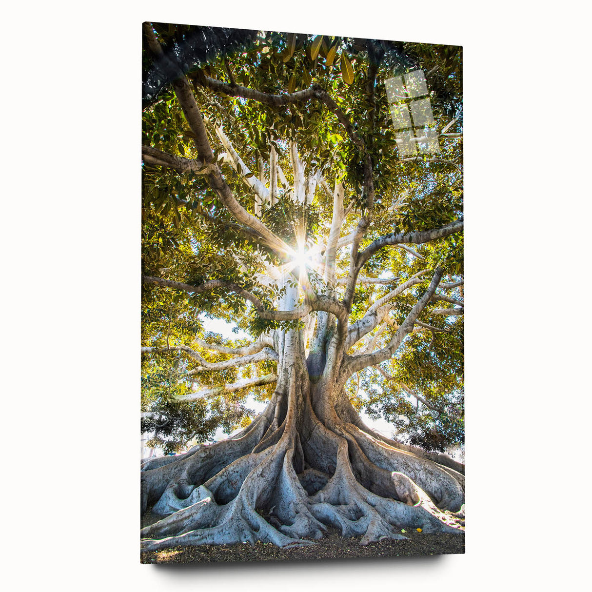 Large abstract wall art in vibrant spring hues on acrylic glass, ideal for bedroom or dining room decor.