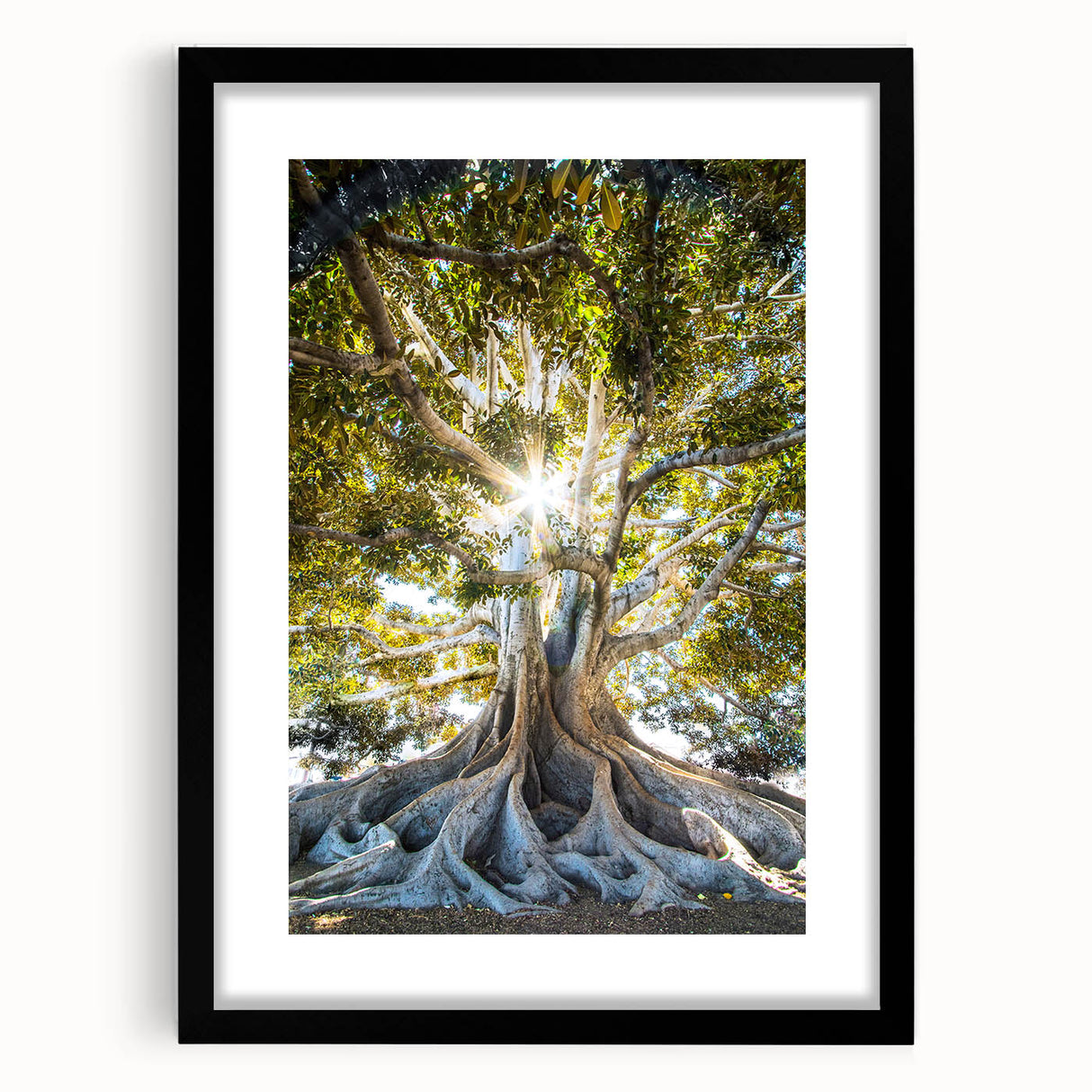 Extra large abstract art print featuring colorful, textured spring-themed imagery on a black framed canvas.