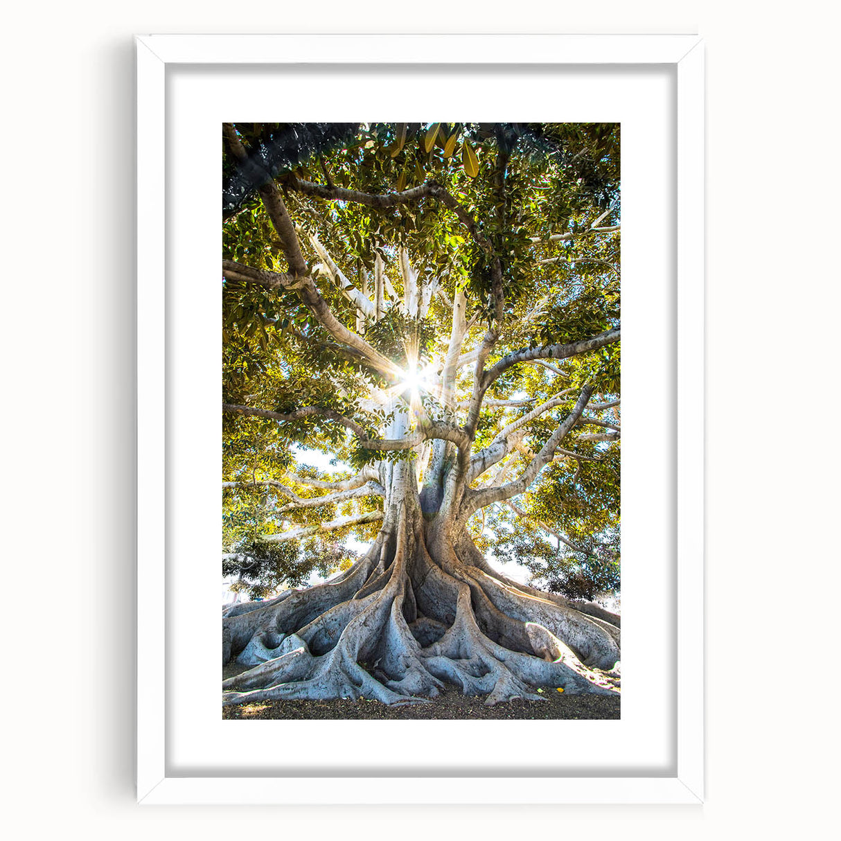 Abstract art print featuring swirling patterns in soft green and yellow tones, framed in white.