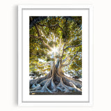 Abstract art print featuring swirling patterns in soft green and yellow tones, framed in white.