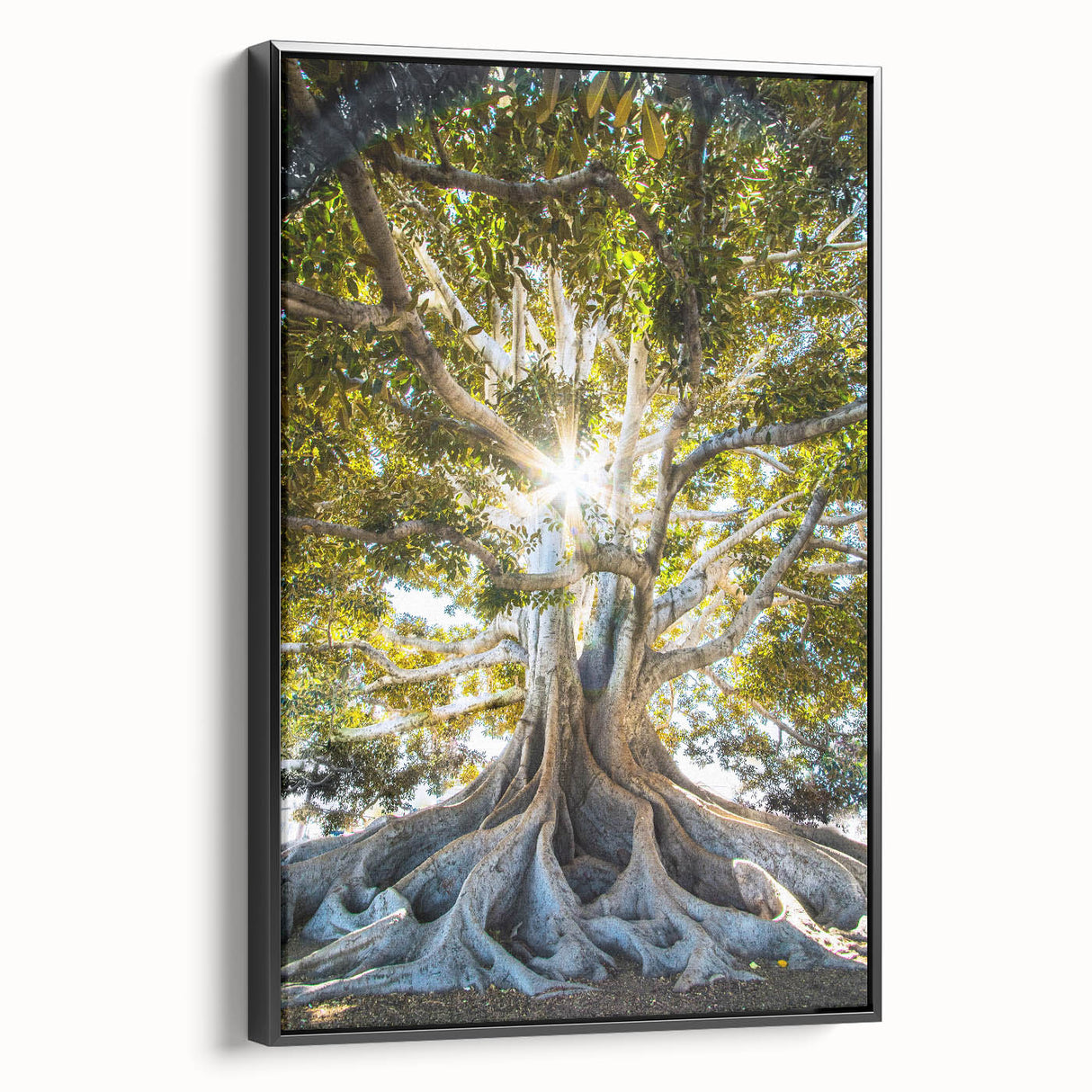 Black and white vintage poster art on framed canvas featuring a spring landscape, ideal for bedroom wall decor.