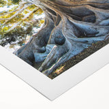Art deco poster of spring season with soft pastel colors on rolled canvas, ideal for dining room wall art.