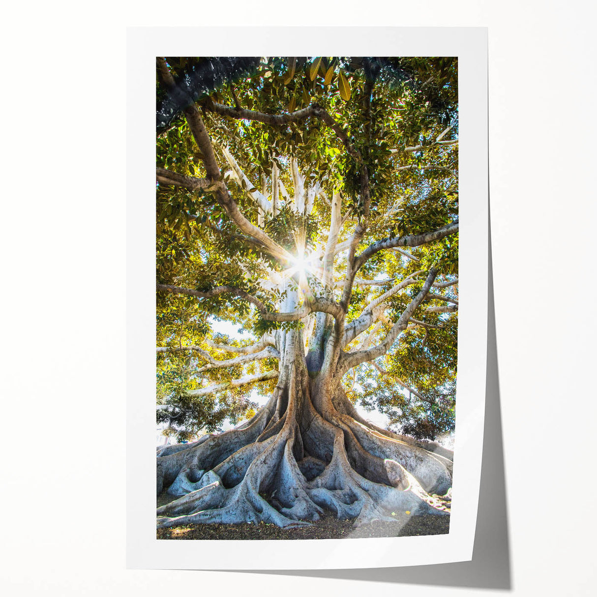 Extra large rolled print of spring floral art with vibrant green and pink hues, ideal for dining room wall decor.