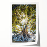 Extra large rolled print of spring floral art with vibrant green and pink hues, ideal for dining room wall decor.