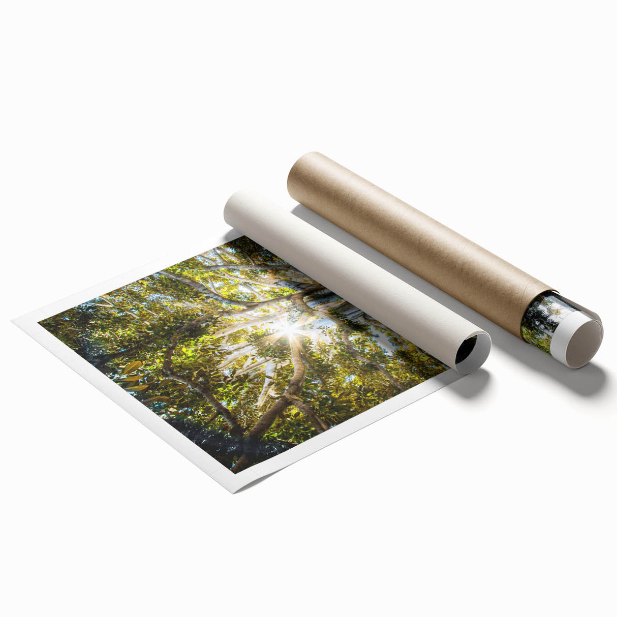 Extra large rolled print featuring a floral design in soft pastel hues, ideal for classy bathroom wall art.